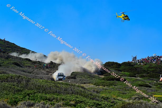 DSC_7395.JPG